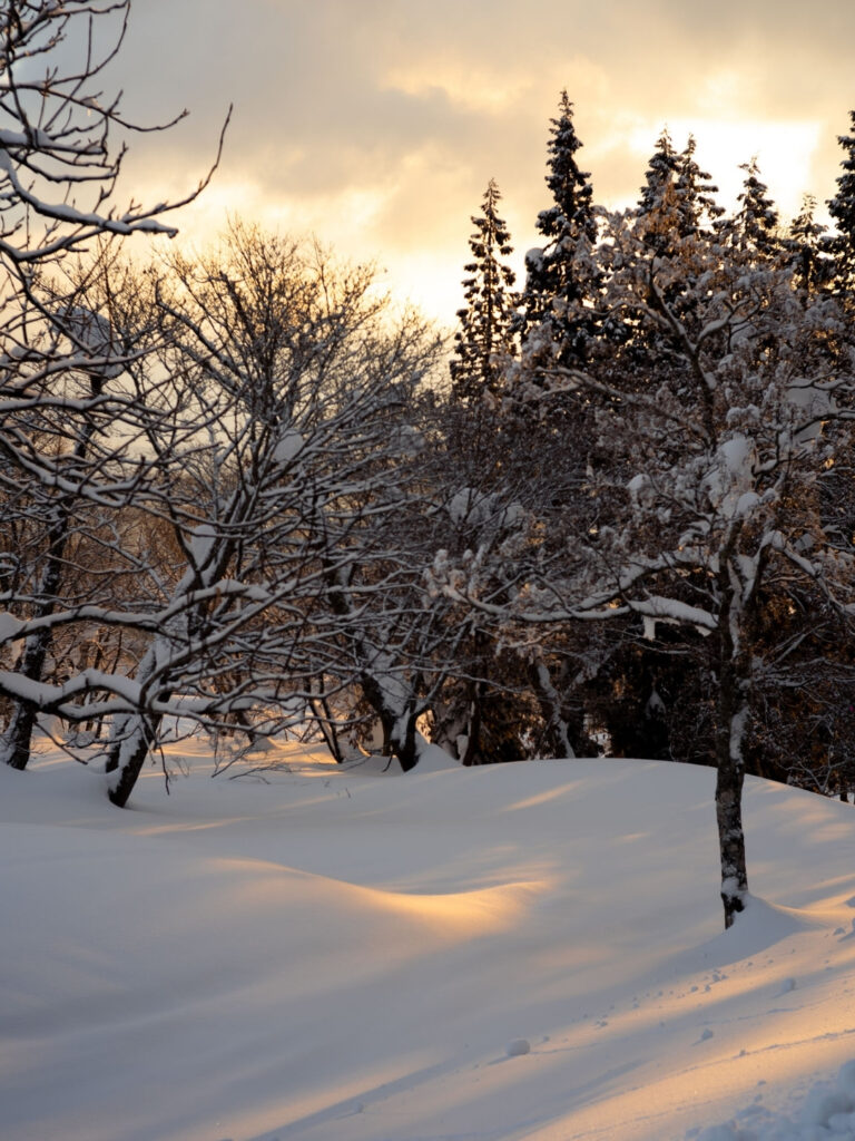 Satoyama Stays Snow