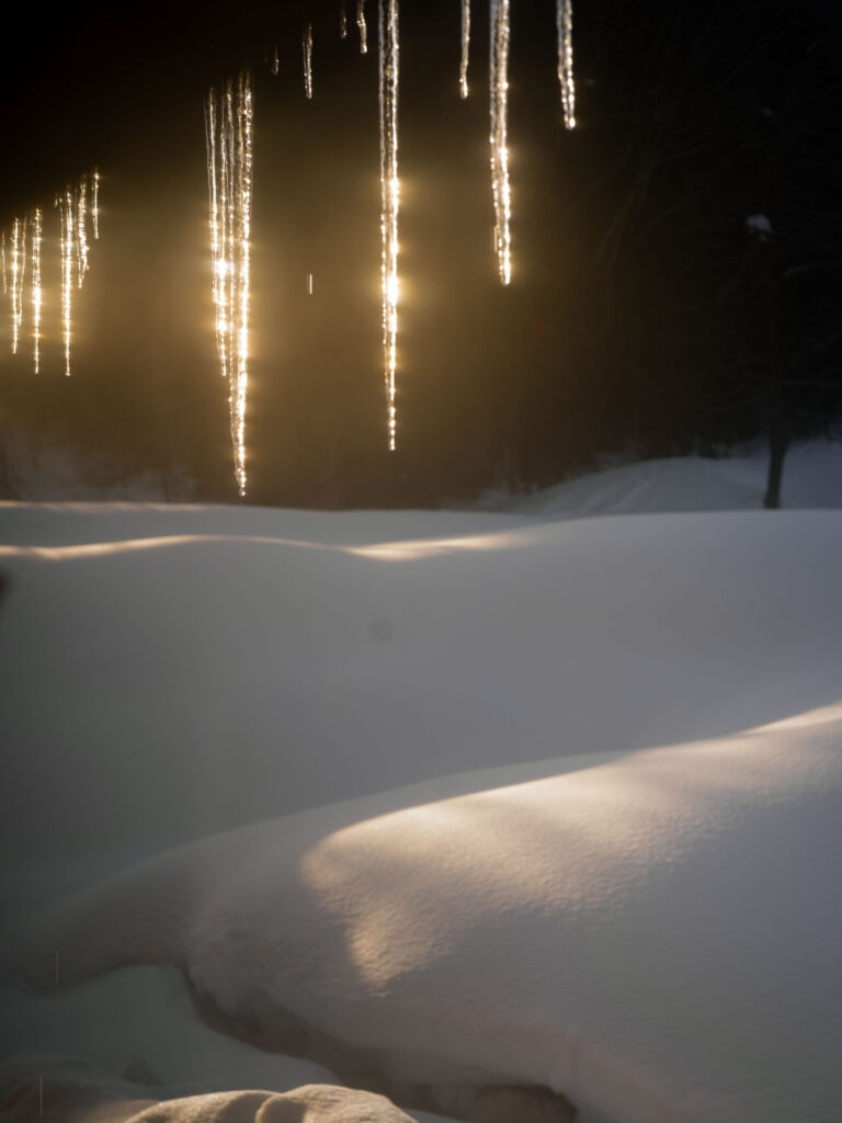 Satoyama Stays Winter