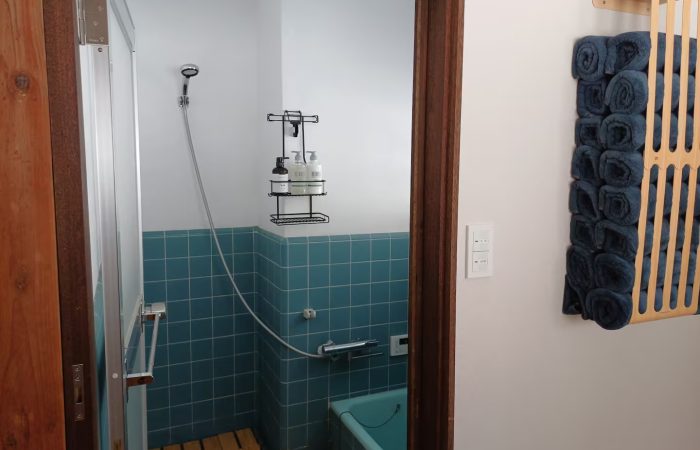 Ground Floor Bathroom