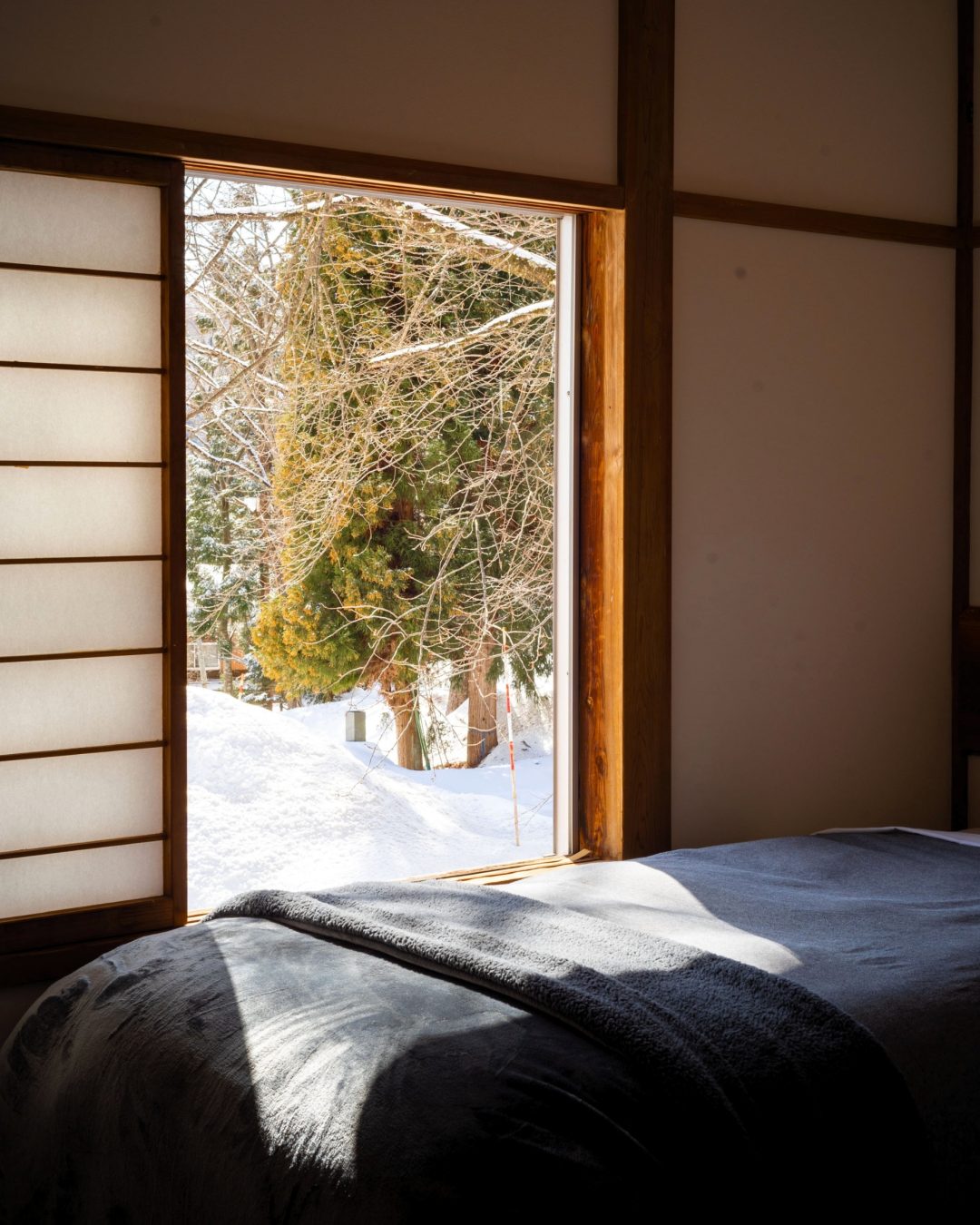 Taketombo Hero Window Light