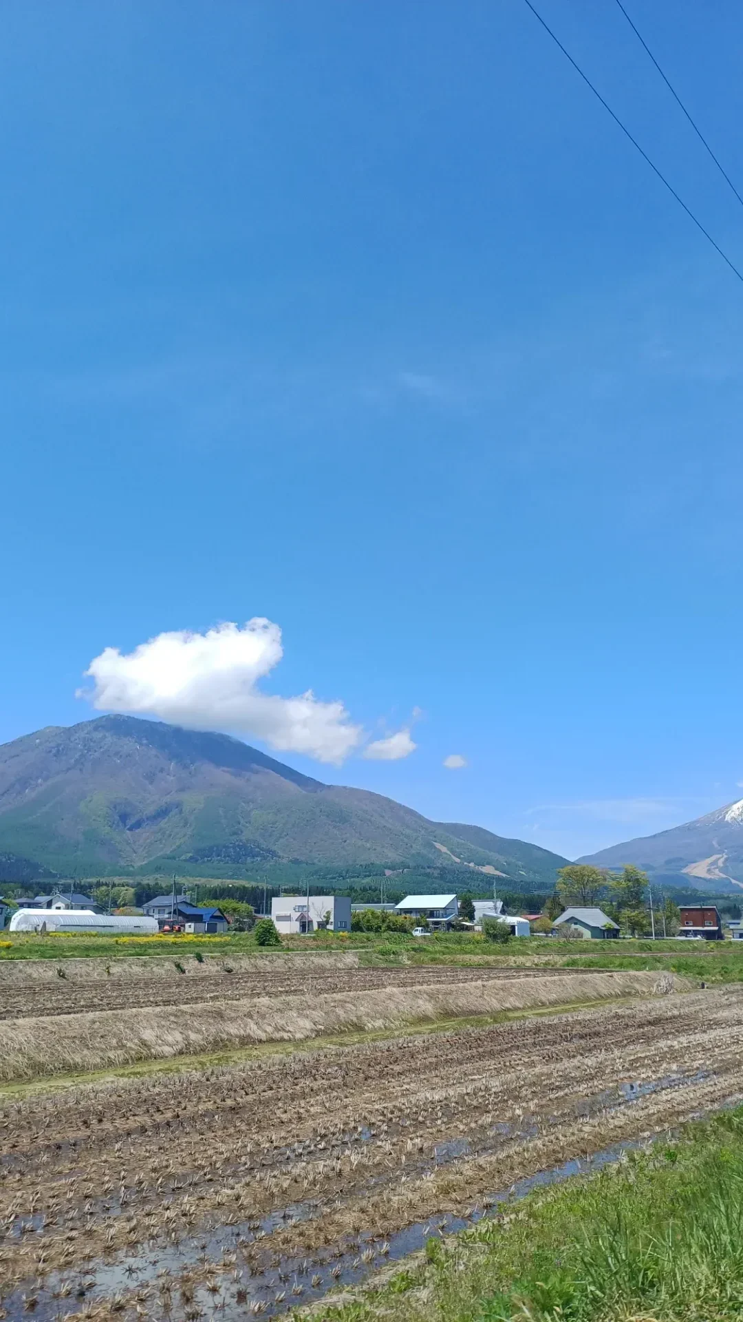 Taketombo Nature